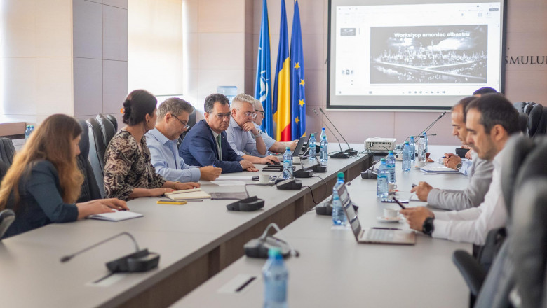 Romania ar putea produce amoniac albastru, spune ministrul Economiei Imagine