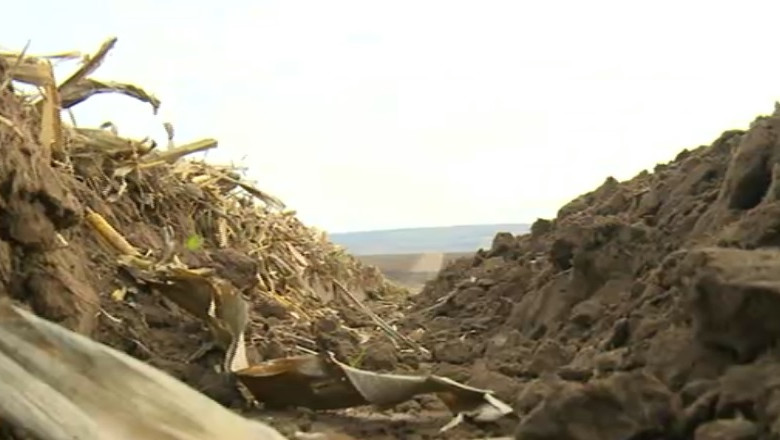 Romania are cele mai multe ferme din Europa, dar si cele mai sarace Imagine