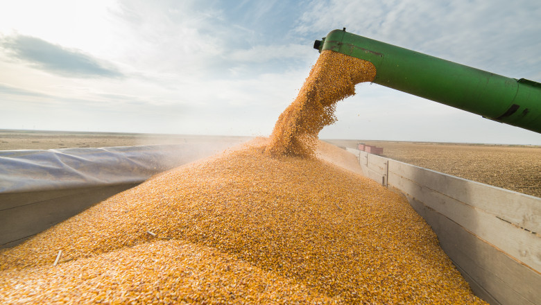 Romania, Bulgaria, Polonia, Slovacia si Ungaria, scrisoare comuna catre sefa CE, cerand protectie in scandalul cerealelor din Ucraina Imagine