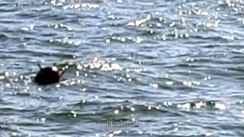 Romania, Bulgaria si Turcia finalizeaza un acord pentru deminarea in comun a Marii Negre Imagine