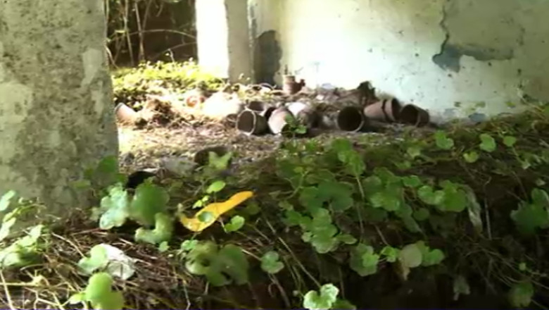 ROMANIA CU INCETINITORUL. Cum a sarit de pe sine patrimoniul CFR Imagine