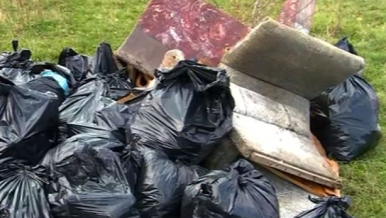 Romania, curatenie generala. Paduri, rauri sau terenuri virane au fost curatate de gunoaie Imagine