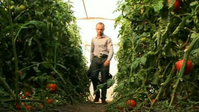 ROMANIA DIN FARFURIE. Produsele bio, intre moda si sanatate Imagine