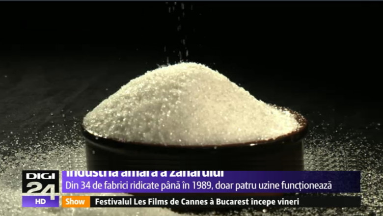 ROMANIA FURATA. Industria amara a zaharului: furturi, evaziune, nepasare Imagine