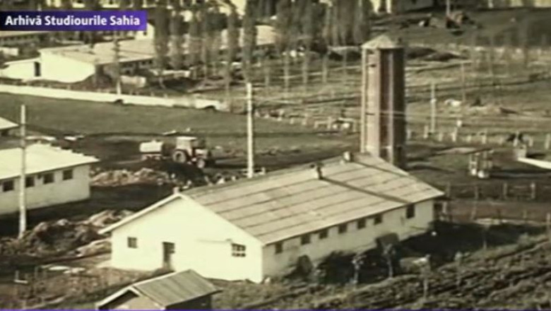 ROMANIA FURATA. Industria zaharului, pusa la pamant de afaceristi fara scrupule si indiferenta statului Imagine