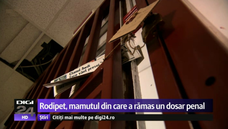 ROMANIA FURATA. Rodipet: Din cel mai mare distribuitor de ziare din Romania a ramas doar un dosar penal Imagine