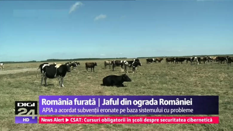 ROMANIA FURATA. Subventii ilegale pentru 9,5 de milioane de animale care exista doar intr-un calculator Imagine