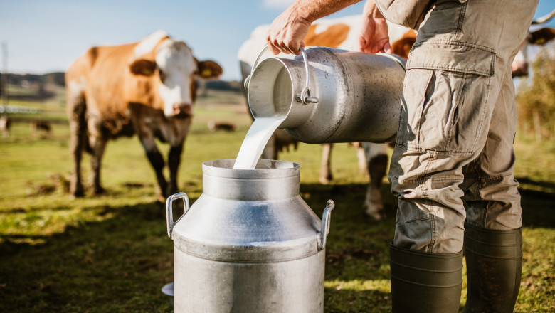 Romania importa 60% din produsele lactate pe care le consuma. Cum vrea statul sa ii ajute pe crescatorii de animale din zonele montane Imagine