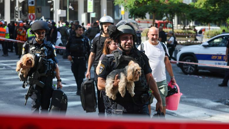 Romania permite intrarea animalelor de companie din Israel chiar si fara vaccin sau microcip, in baza unui formular Imagine