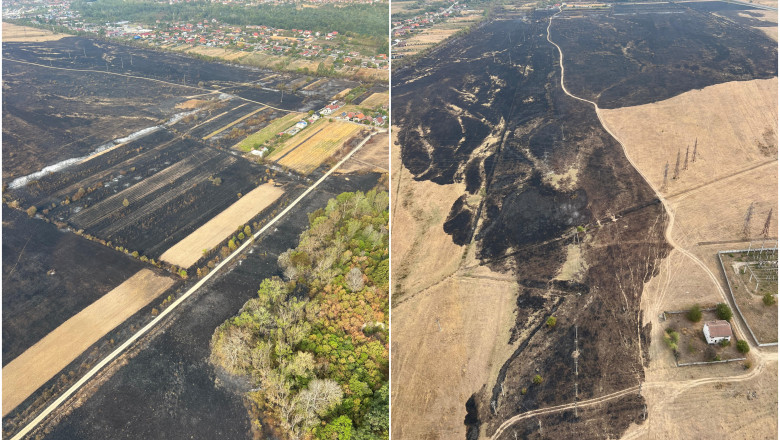 Romania se parjoleste. Numar record de incendii pe campuri, anul acesta. Care este cauza izbucnirii focarelor Imagine