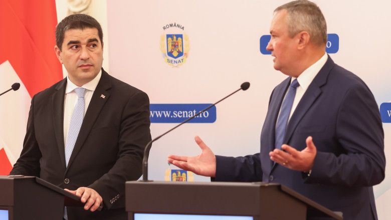 Romania sustine integrarea Georgiei in UE. Nicolae Ciuca: Exista asteptarea ca la Consiliul din decembrie sa fie o decizie pozitiva Imagine