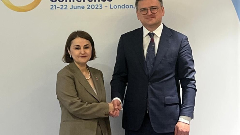 Romania va participa activ la procesul de reconstructie post-razboi a Ucrainei, spune Luminita Odobescu Imagine