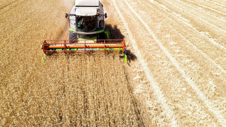 Romania va produce si anul acesta mai multe cereale decat va consuma si poate sa exporte Imagine