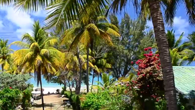 Romanii cauta locuri exotice pentru Craciun. Cat costa vacantele de sarbatori Imagine