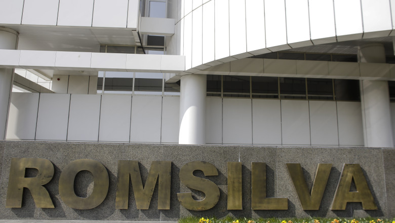 Romsilva acuza Ministerul Mediului ca pune in pericol proiecte asumate prin PNRR Imagine