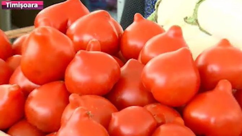 Rosii crescute cu forta. In pietele din Timisoara, tarabele sunt pline de tomate cu forma tuguiata Imagine