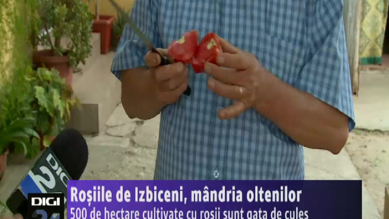 Rosiile de Izbiceni, mandria oltenilor Imagine