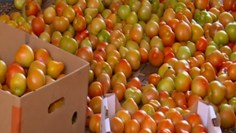 Rosiile oltenesti sunt la mare cautare. Pretul unui kilogram porneste de la 2,5 lei Imagine