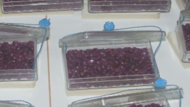 Rubinele nu isi gasesc cumparator Imagine