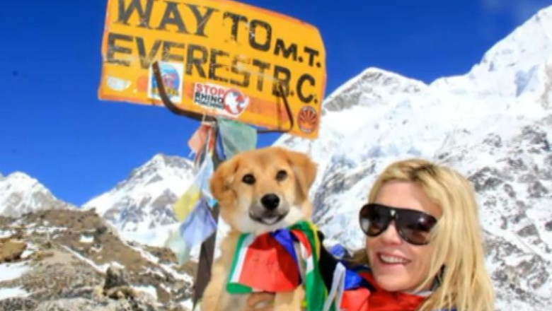 Rupee, primul caine care a escaladat muntele Everest Imagine