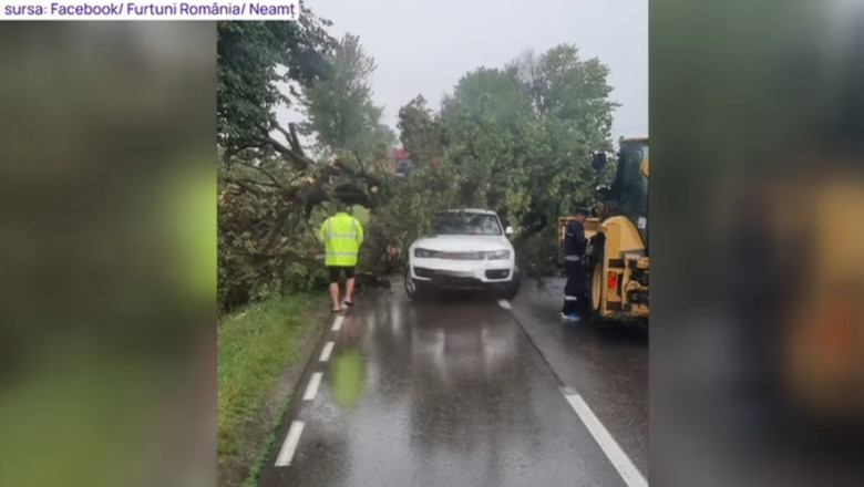Rupere de nori in Iasi si Neamt. Au cazut bucati mari de grindina, zeci de copaci au fost doborati de vant Imagine