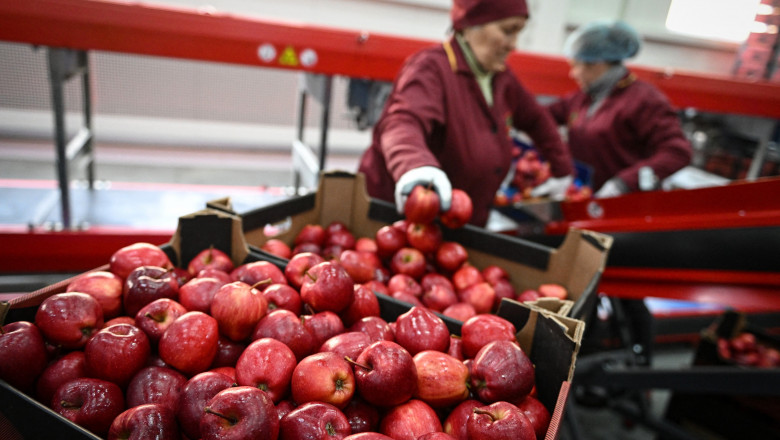 Rusia impune embargo asupra produselor agricole din Republica Moldova Imagine