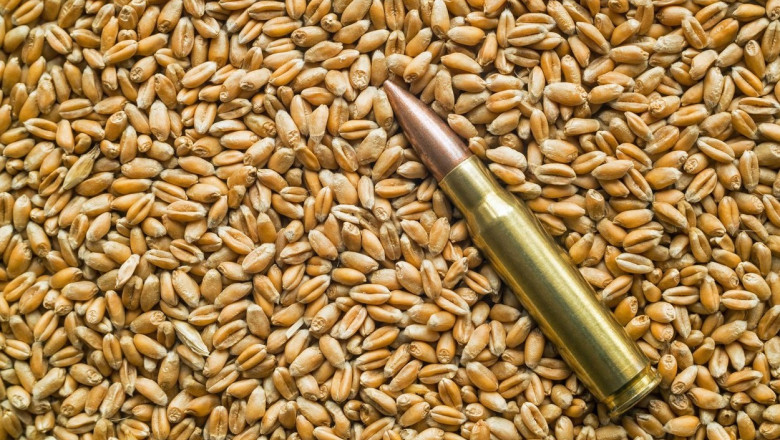 Rusia isi creste exporturile de grau pe baza cerealelor din teritoriile ocupate in Ucraina Imagine
