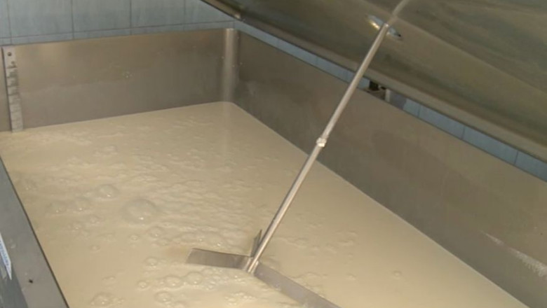 Rusia pregateste masuri pentru limitarea importurilor de produse lactate din Olanda Imagine