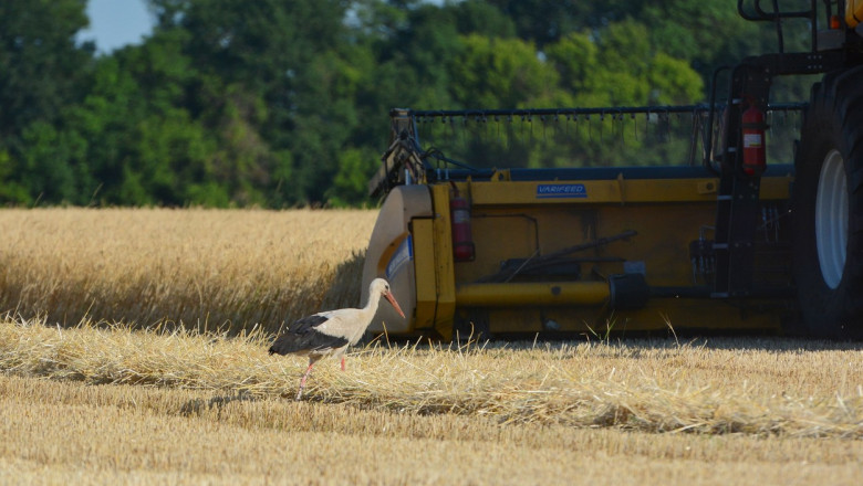 Rusia vrea sa exporte in Orientul Mijlociu cerealele din regiunile ucrainene ocupate Imagine