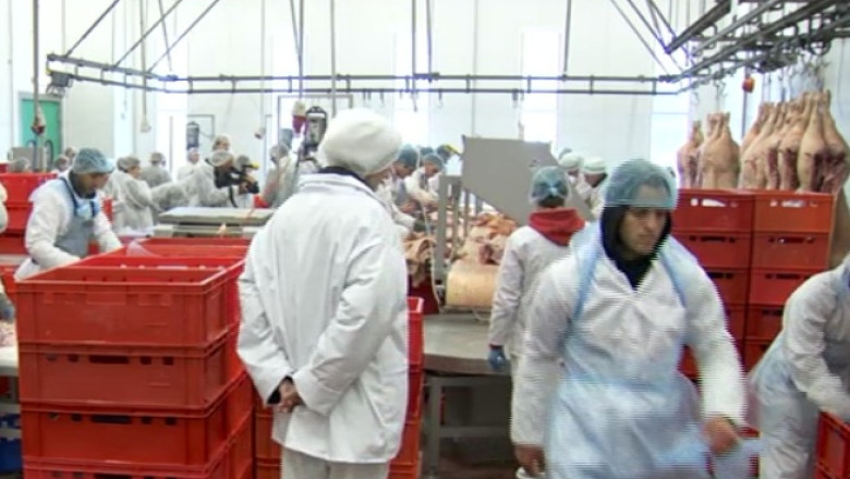 Rusii nu mai vor sa importe carne de porc din statele europene Imagine