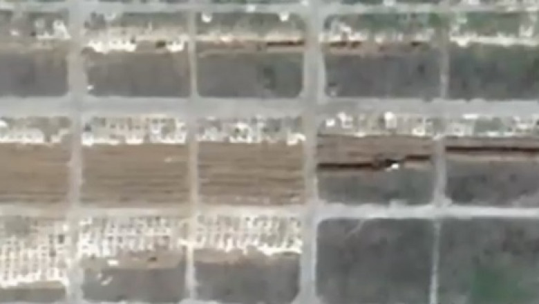 Rusii sapa gropi comune pentru mii de cadavre in Mariupol. Imaginile din satelit arata cum incearca sa-si acopere urmele crimelor Imagine