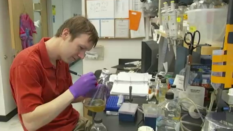 S-a descoperit virusul care ii face pe oameni mai prosti Imagine