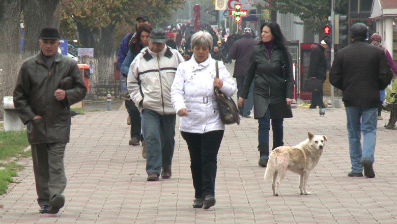 S-a schimbat Codul Muncii Imagine