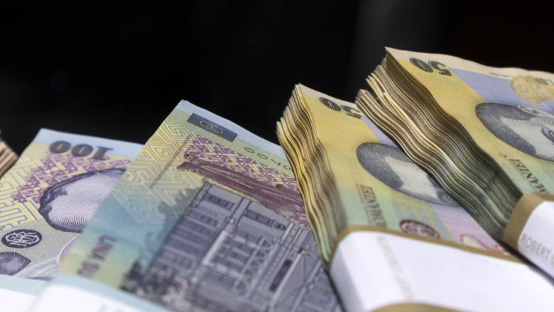 Salariul minim pe economie creste de la 850 de lei la 900 de lei Imagine