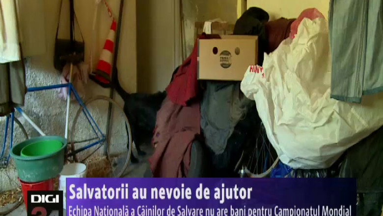 Salvatorii au nevoie de ajutor. Echipa Nationala a Cainilor de Salvare cauta sponsori pentru a participa la competitia mondiala din Italia Imagine