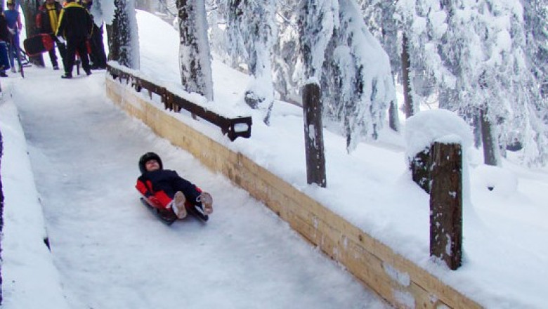 Sanius de Cupa Mondiala. La Vatra Dornei este singura partie pentru sanius pe pista naturala din Europa de Est Imagine