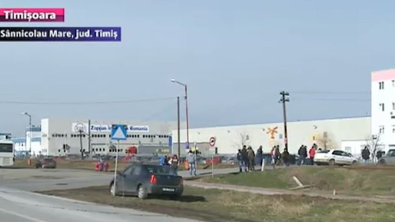 Sannicolau Mare: orasul care angajeaza straini, pentru ca nu are someri Imagine