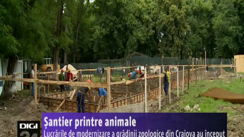 Santier printre animale, la Craiova. Lucrarile de modernizare a gradinii zoologice au inceput   Imagine