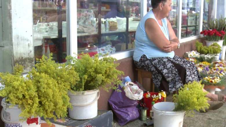 Sanzienele: cumperi cu un leu... bunastare pentru un an intreg Imagine