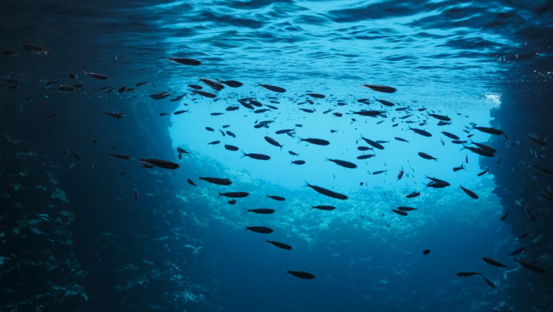 Sapte din noua „limite planetare” au fost depasite: oceanele devin mai acide. Cercetatorii trag un semnal de alarma Imagine