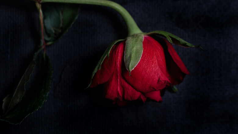 Sarbatoarea iubirii si originile ei sangeroase. Cum se sarbatoarea Sfantul Valentin in trecut Imagine