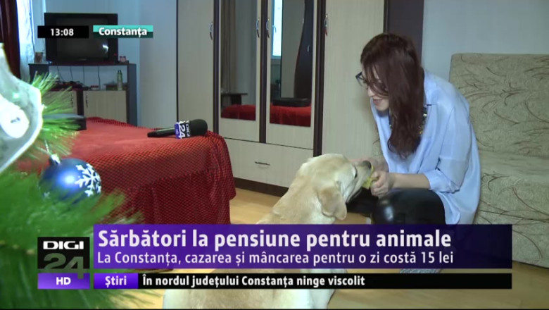 Sarbatori la pensiune pentru animale. La Constanta, cazarea si mancarea pentru o zi costa 15 lei Imagine