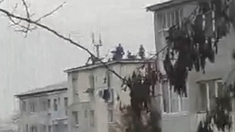 Sase barbati au taiat porcul pe bloc si tot acolo l-au parjolit Imagine