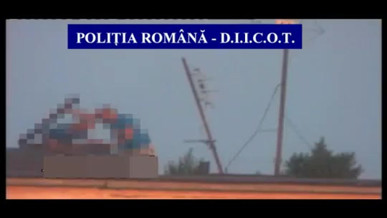 SATU MARE. Canabis cultivat pe acoperisul unui bloc Imagine