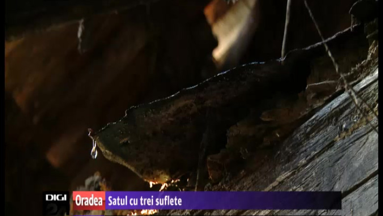 Satul cu trei suflete. O singura familie mai traieste intr-o asezare din judetul Salaj Imagine