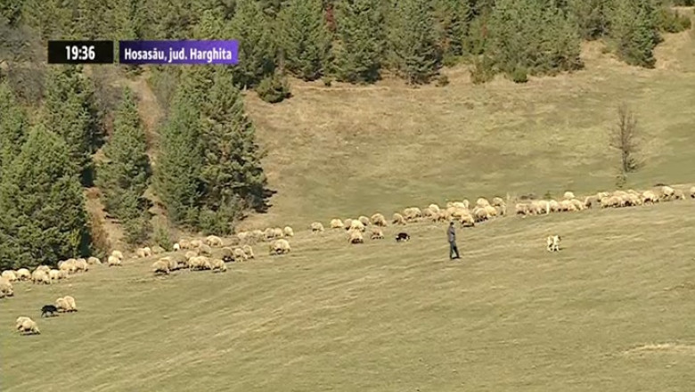 Satul din Romania in care traieste un singur om Imagine