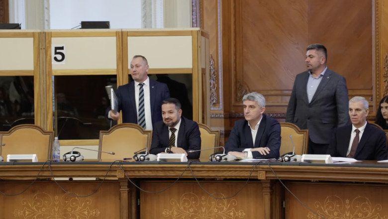 Scandal in comisia unde se discuta activitatea ANRE: „Va scoatem microfonul din priza“/ „Schimbati-va tonul, ca nu suntem la Vaslui” Imagine