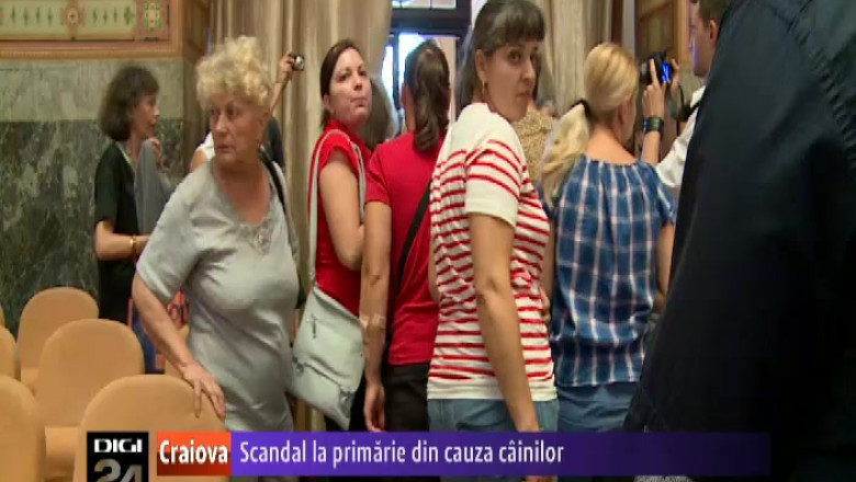 Scandal la Primaria din Craiova din cauza cainilor. Regulamentul de ecarisaj a trecut de votul consilierilor locali Imagine