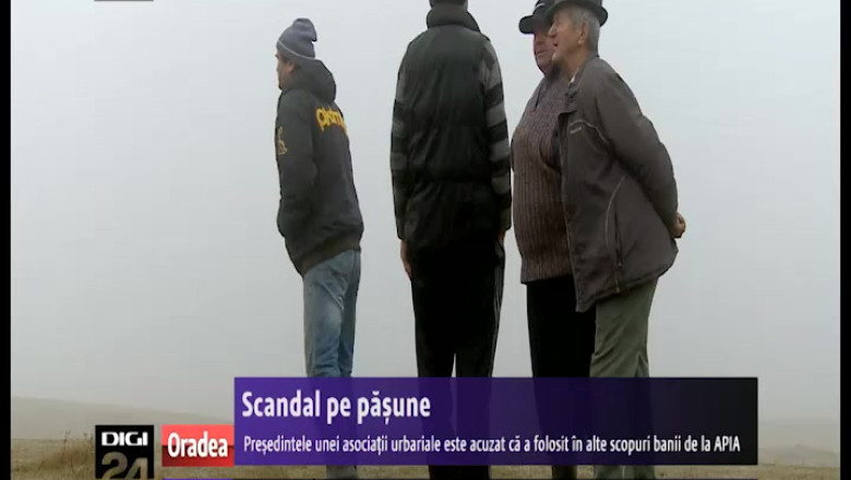 Scandal pe pasune. Presedintele unei asociatii urbariale este acuzat ca a folosit in alte scopuri banii de la APIA Imagine