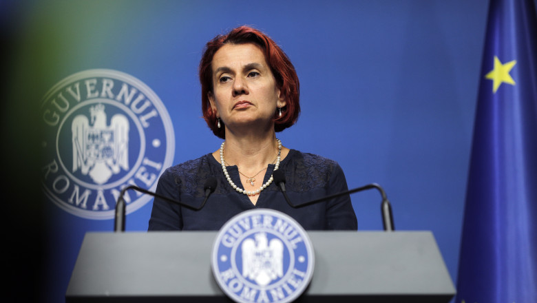 Scandalul Anastasiu. Ioana Dogioiu leaga acuzatiile la adresa vicepremierului de reforma companiilor de stat Imagine